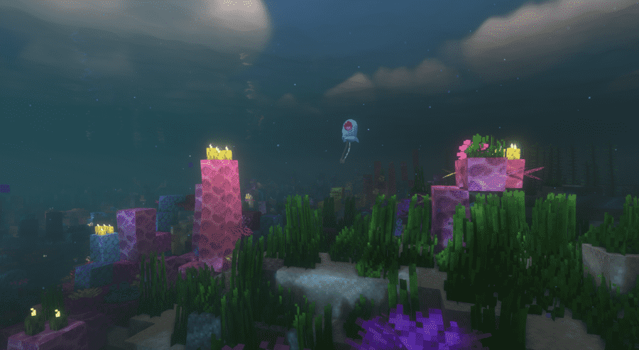 Сервер с модами Pixelmon 1.16.5 №6